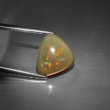 Chocolate Opal from The Source