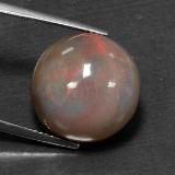 Chocolate Opal from The Source
