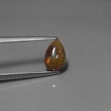 Chocolate Opal from The Source