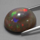 Chocolate Opal from The Source