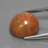 Chocolate Opal from The Source