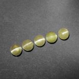 4 mm Chrysoberyl Cat's Eye 2ct Round Cabochon in Golden Green