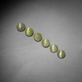 Chrysoberyl Cat's Eye from The Source
