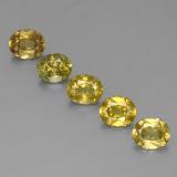 6x5 Chrysoberyl 5ct Oval Facet in Golden Green