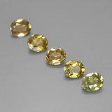4 carat Greenish Golden Oval Facet Chrysoberyl 6x5