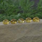 8 mm Round Cabochon Citrine 11ct