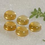 Citrine from The Source
