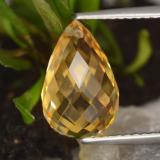 4 carat Yellow Golden Briolette with Hole Citrine 12mm