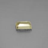 Color-Change Diaspore from The Source