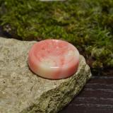 Coral from The Source