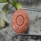 Click for Details 14mmx10mm Carved Flower Coral 3ct