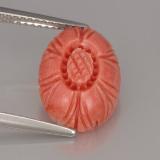 Coral from The Source