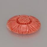 Coral from The Source