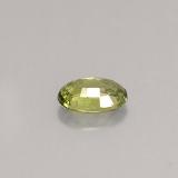 Demantoid Garnet from The Source