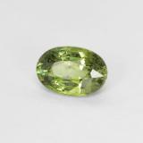 Demantoid Garnet from The Source
