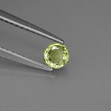 Demantoid Garnet from The Source