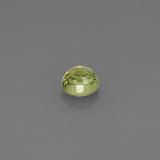 Demantoid Garnet from The Source