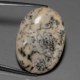 Dendritic Agate from The Source
