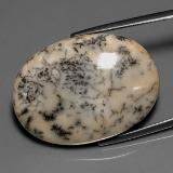 Dendritic Agate from The Source