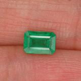 5.5mmx4mm Emerald 0.5ct Octagon Facet in Green