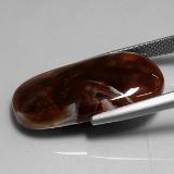 Fire Agate from The Source