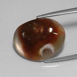 18x14 Fire Agate 8ct Fancy Cabochon in Multicolor