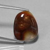 Fire Agate from The Source