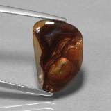 Fire Agate from The Source