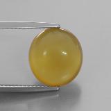 5 carat Yellow Oval Cabochon Fire Opal 12.5x11.5