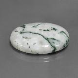 Jasper from The Source
