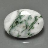 Jasper from The Source