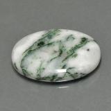Jasper from The Source