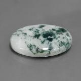 Jasper from The Source