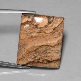 Jasper from The Source