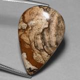 Jasper from The Source