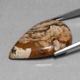 Jasper from The Source