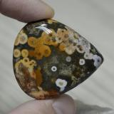 Jasper from The Source