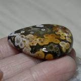 Jasper from The Source