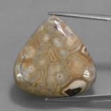 28.5mm x 28 Jasper 38ct Pear Cabochon in Multicolor