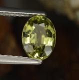 Mali Garnet from The Source