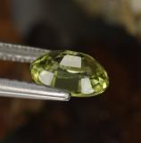 Mali Garnet from The Source