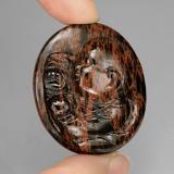 33.5x28.5 Obsidian 66ct Carved Cameo in Mahogany