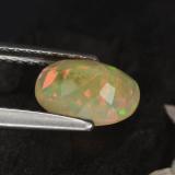 Opal from The Source