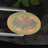 Click for Details 1.5 carat Multicolor Oval Facet Opal 11x7.5