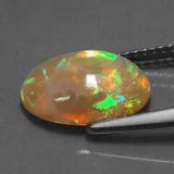 Opal from The Source