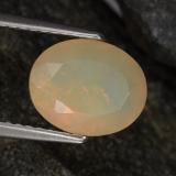Opal from The Source