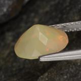 Opal from The Source