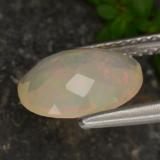 Opal from The Source
