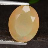 Opal from The Source