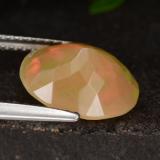 Opal from The Source